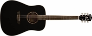 Gitara akustyczna WASHBURN WD 10 B